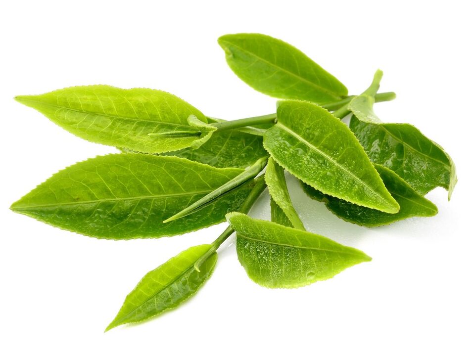 te berdea Keto Matcha-en